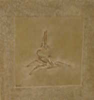  12-Tiny pterosaur.jpg 